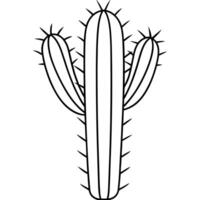 tall cactus with sharp spines outline, illustration line art vector