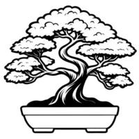 Bonsai tree in a pot vector