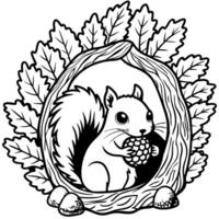 Squirrel in the tree coloring page vector