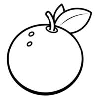 An orange is shown in a black and white drawing vector