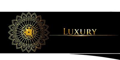 Luxury logo design vector