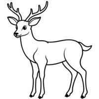 Deer coloring pages for kids vector