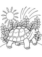 Turtle coloring pages for kids vector