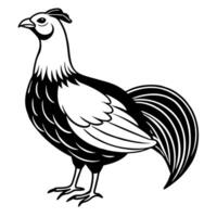 A black and white rooster standing on a white background vector