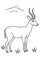 A black and white drawing of a deer vector
