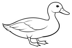 A duck is standing in the middle of the page vector