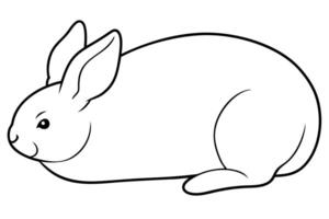 A rabbit is sitting on the ground coloring page vector