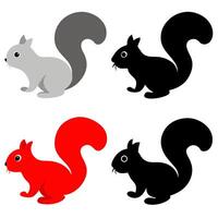 squirrel collection red, brown grey, black, animal bundle isolated on a white background as vector