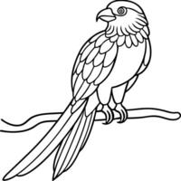 A bird sitting on a branch coloring page vector