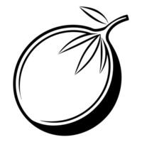 A black and white drawing of a mango vector