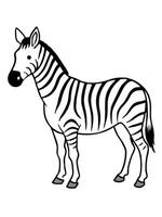 A zebra is standing in a line on a white background vector