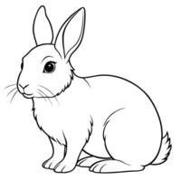 A rabbit is sitting in the coloring page vector