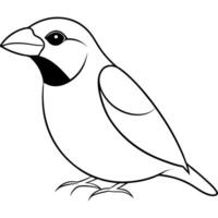 A black and white drawing of a bird vector