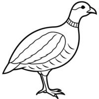 A black and white drawing of a pheasant vector