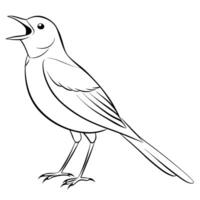 A bird is standing on a branch coloring page vector