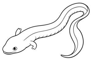 An axolotl coloring page vector