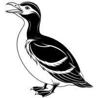 A black and white drawing of a bird vector