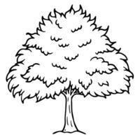 A tree with leaves coloring page vector