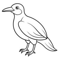 A bird is standing on a white background coloring page vector