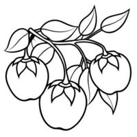 Apple tree with leaves and fruit coloring page vector