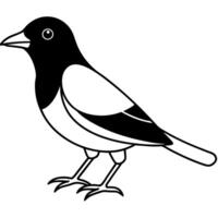 Black and white magpie coloring pages vector