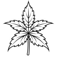 A leaf with a black outline on a white background vector