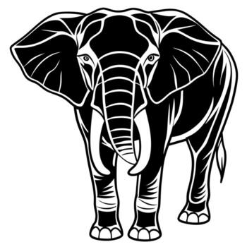 An elephant is standing in front of a white background vector