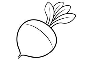 A beet is shown in a line drawing vector