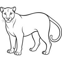 panther full view, illustration line art vector