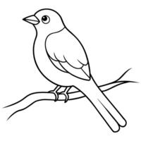 Bird on branch coloring page vector
