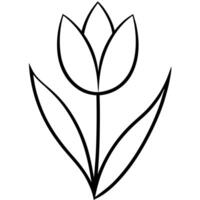 A black and white outline of a tulip vector