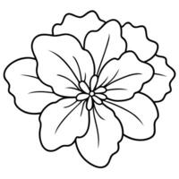 Flower coloring pages for kids vector