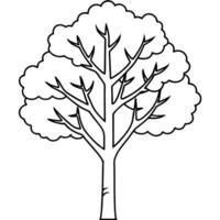aspen tree line art, illustration line art vector