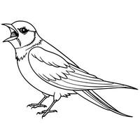 A bird coloring page with a black and white outline vector