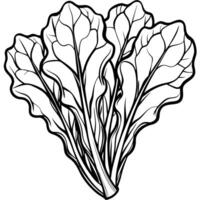 Black and white drawing of a leaf of lettuce vector