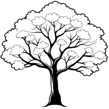 a grand sycamore tree with its textured bark and expansive canopy, adorned with the delicate, vector