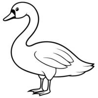 A black and white drawing of a swan vector