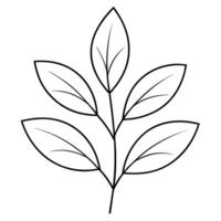 A leaf outline on a white background vector