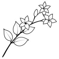 A black and white drawing of a branch with flowers vector