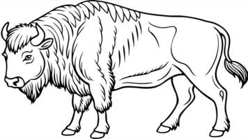 Buffalo coloring pages for kids vector