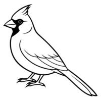 A cardinal bird is standing on its feet coloring page vector