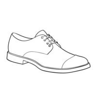 derby shoes, illustration line art vector