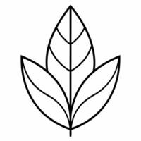 A leaf outline on a white background vector
