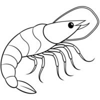 Shrimp coloring pages vector