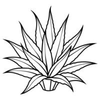 Aloe vera plant coloring pages vector