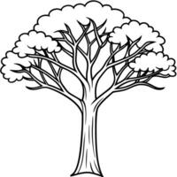 mahogany tree, illustration line art vector