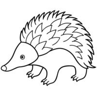 A hedgehog coloring page for kids vector