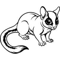 A black and white drawing of a sugar glider vector