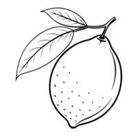 lemon, illustration line art vector