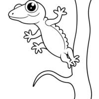 a giant gecko clinging to a tree, with a wide, flat body and large eyes, illustration line vector